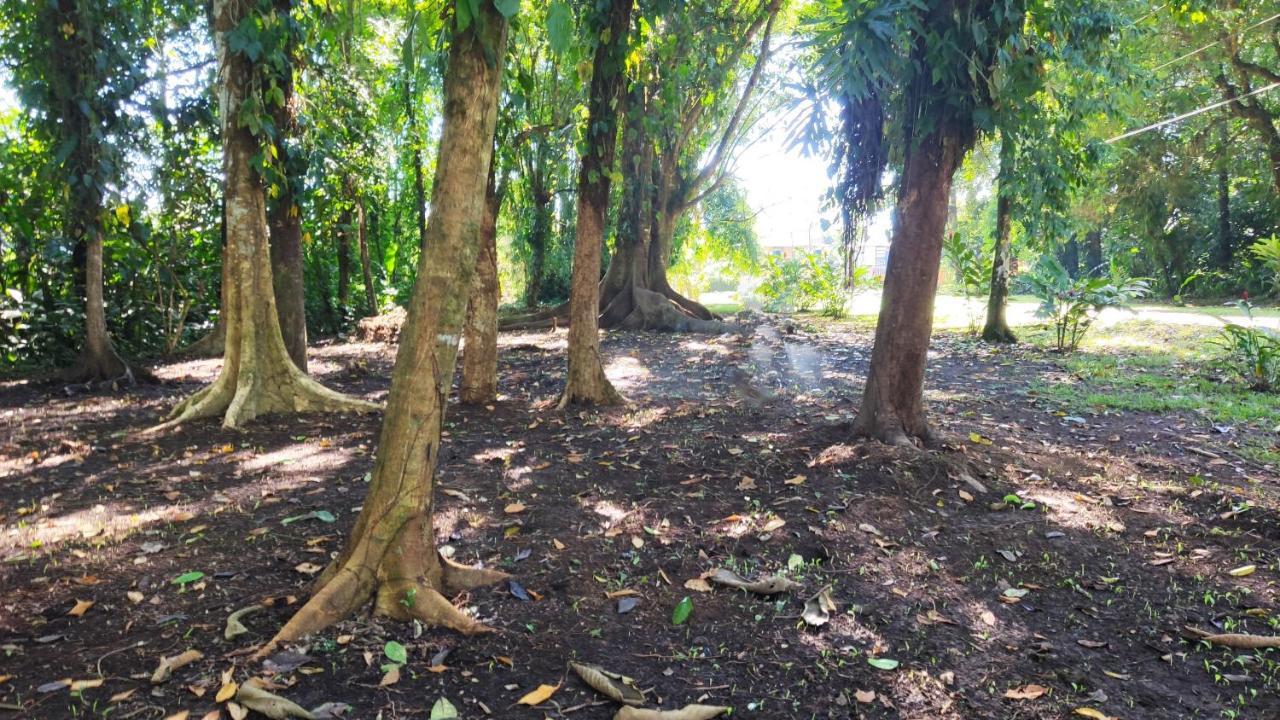 Gran Gavilán del Sarapiquí Lodge Esterno foto