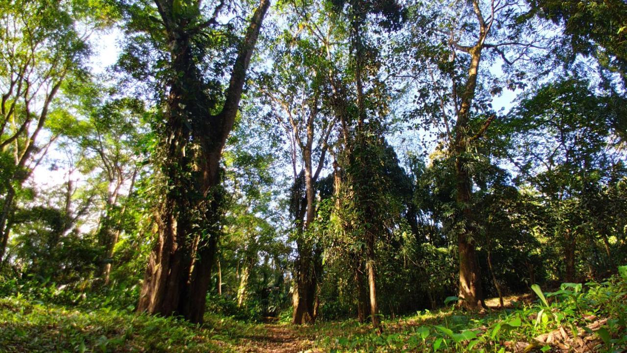 Gran Gavilán del Sarapiquí Lodge Esterno foto