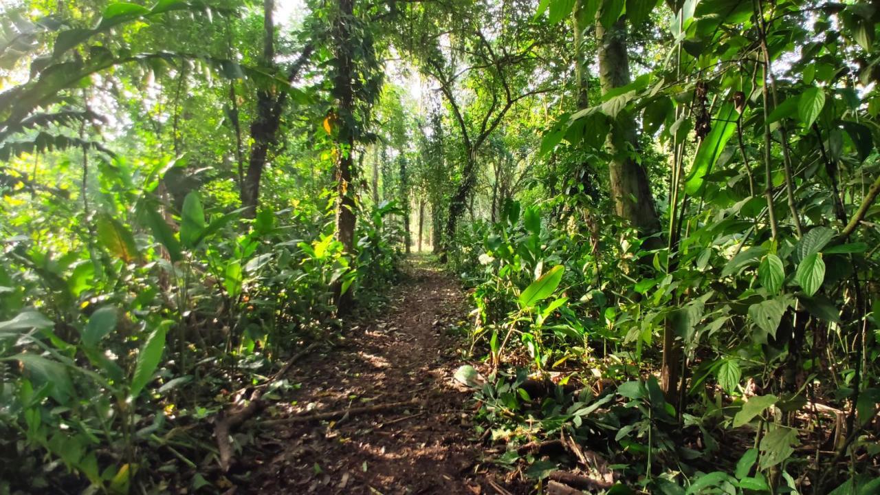 Gran Gavilán del Sarapiquí Lodge Esterno foto