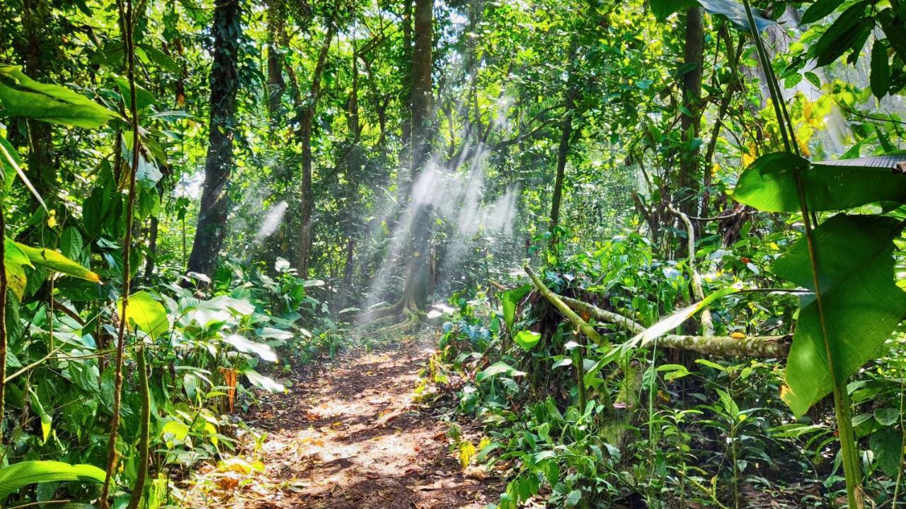 Gran Gavilán del Sarapiquí Lodge Esterno foto